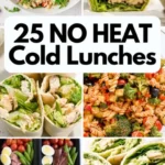25 no heat cold lunches 2026 07 23 072556 512x1024 1