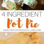 aldi recipe easy 4 ingredient chicken pot pie rec 2026 07 21 135129 498x1024 1