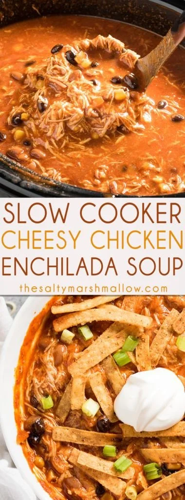 Bowl of Chicken Enchilada Soup garnished with cilantro and tortilla strips