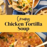 creamy chicken tortilla soup recipe video the 2026 07 24 140000 487x1024 1
