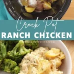 crock pot ranch chicken 2026 07 21 135109 512x1024 1