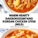 dakbokkeumtang korean chicken stew 2026 07 21 135056 488x1024 1