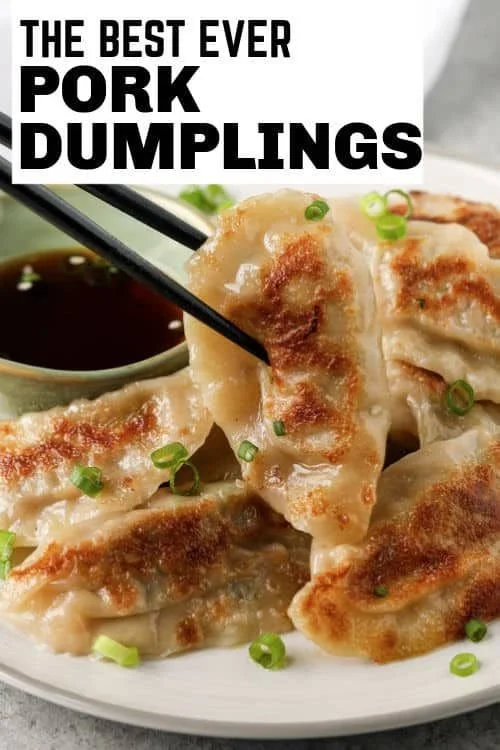Homemade Pork Dumplings ready to be enjoyed with dipping sauce.