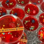 halloween themed science petri dishes biohazard je 2026 07 21 135115 576x1024 1