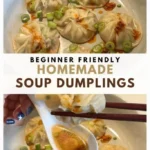 homemade soup dumplings beginner friendly 2026 07 23 072549 683x1024 1