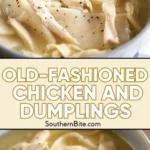 old fashioned chicken and dumplings 2026 07 21 135118 512x1024 1
