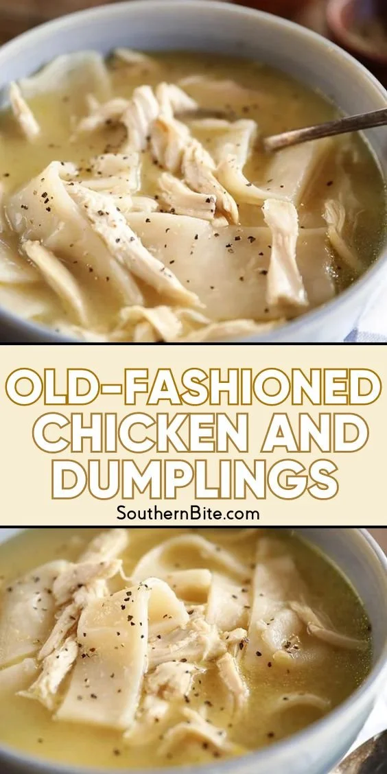 Bowl of old-fashioned chicken and dumplings with herbs and spices