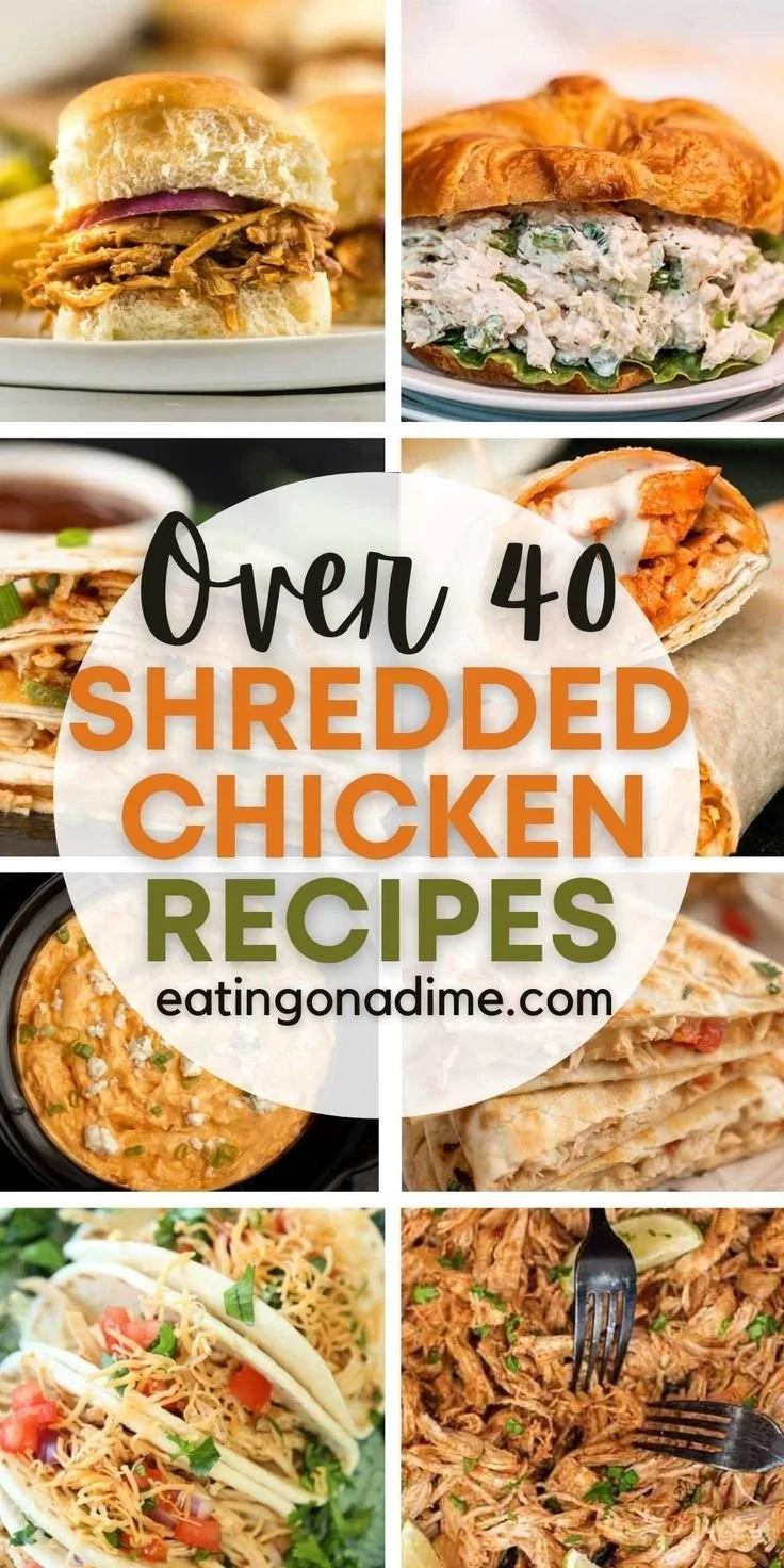 Plate of various dishes made with shredded chicken, including tacos and salads.